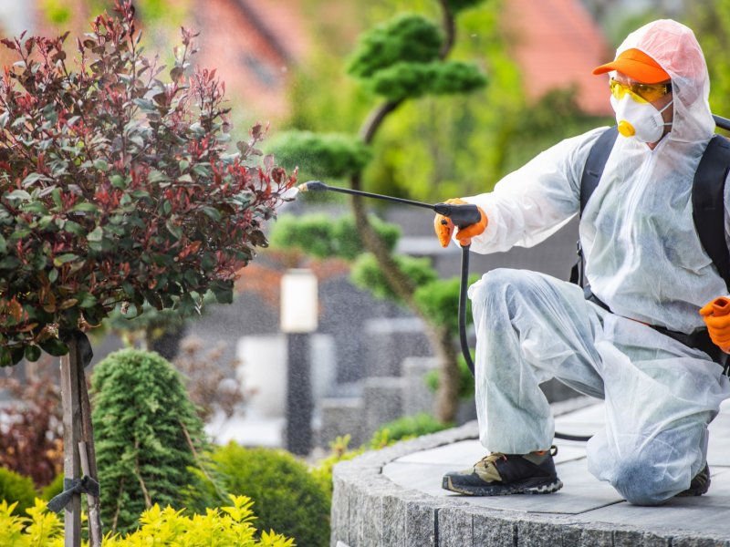 Lapseki Haşere İlaçlama